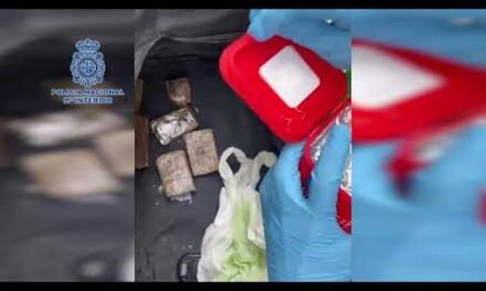 Un total de 22 detenidos por tráfico de drogas en una organización con raíces en Ayamonte