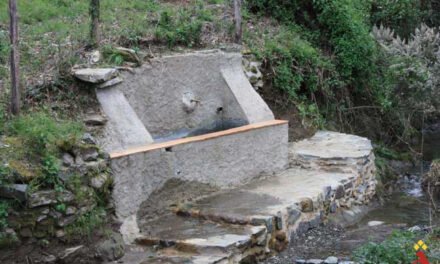 Fallece un hombre de 72 años tras caer de cabeza a una fuente en Almonaster