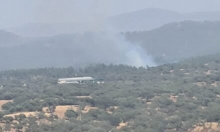 Un segundo incendio en Huelva lleva a numerosos medios del Infoca a Rosal de la Frontera