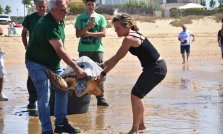 Escolares de Punta Umbría sueltan al mar una tortuga que había sido rescatada por marineros