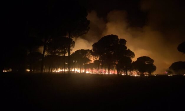 El Infoca perimetra la zona de Doñana frente al fuego y afronta la tarde con “optimismo”