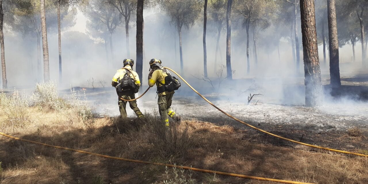 Más de 130 efectivos siguen luchando contra el fuego en el voraz incendio de Almonte