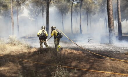 Más de 130 efectivos siguen luchando contra el fuego en el voraz incendio de Almonte