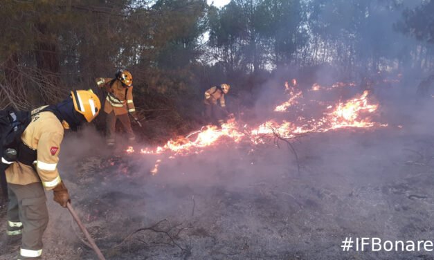 El fuego no alcanzará Doñana pese a vivir una «noche complicada»