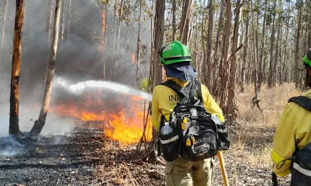 El Infoca cifra en 1.700 las hectáreas calcinadas en los incendios de Bonares y Almonte