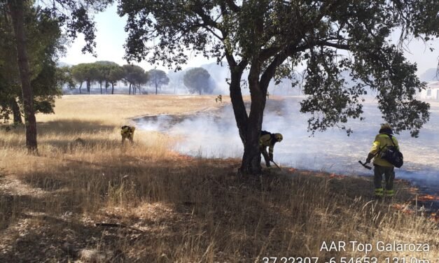 Estabilizados los incendios de Almonte y Bonares tras una noche «tranquila»
