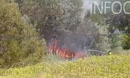 Los bomberos extinguen el incendio forestal de Almonte en poco más de tres horas