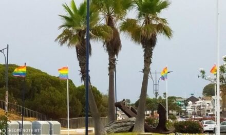 Roban las banderas LGTBI+ de una rotonda de Matalascañas