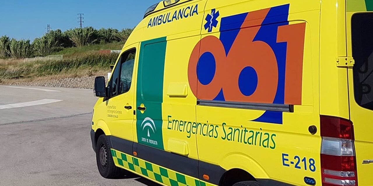 Cuatro heridos tras caer un pino sobre la terraza de un bar en Nuevo Portil