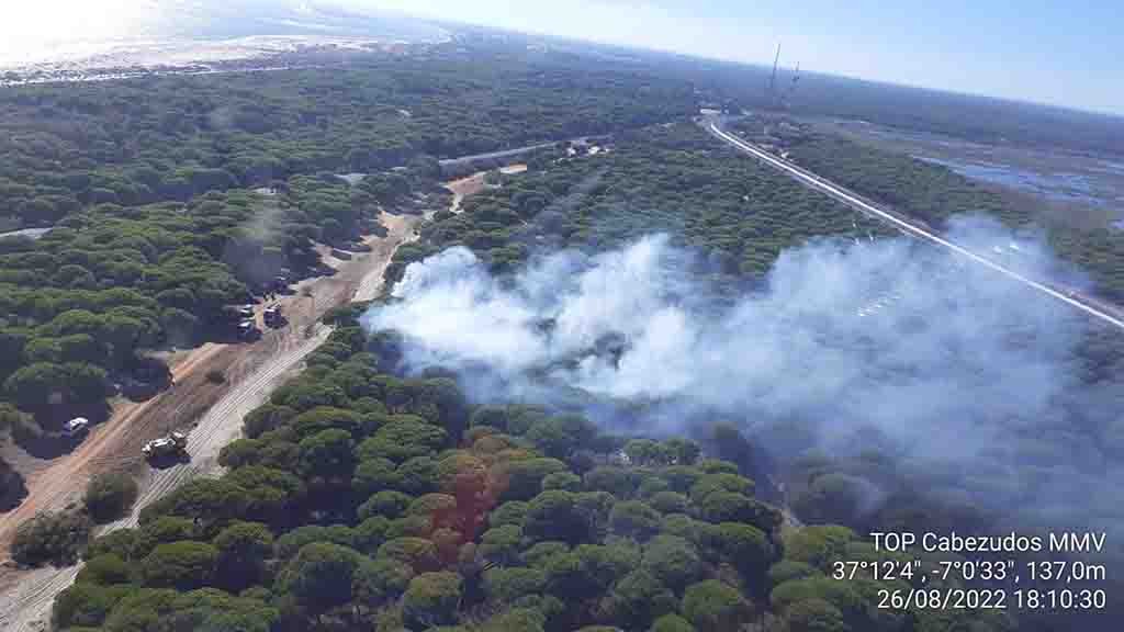 Un incendio calcina una zona de pinares en el Camino de la Romería de Punta Umbría