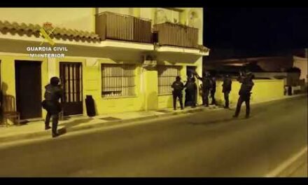 Detenidas 49 personas en una operación contra el tráfico de drogas con ramificaciones en El Rocío