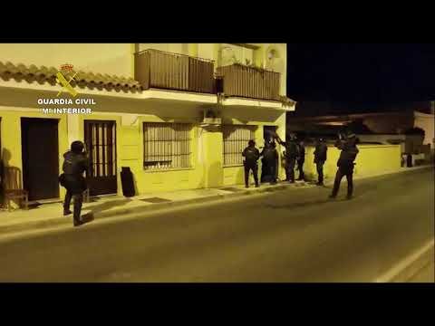 Detenidas 49 personas en una operación contra el tráfico de drogas con ramificaciones en El Rocío