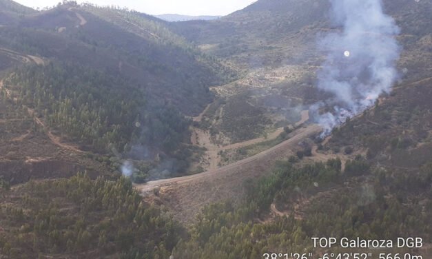 El Infoca despliega numerosos medios para sofocar un incendio en Cumbres de San Bartolomé