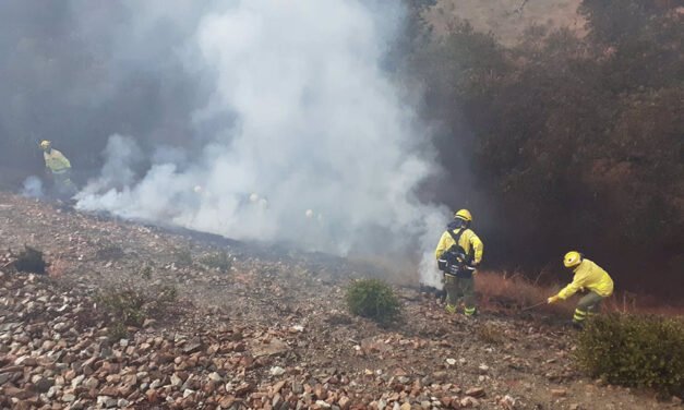 Extinguido el incendio forestal en Cumbres de San Bartolomé