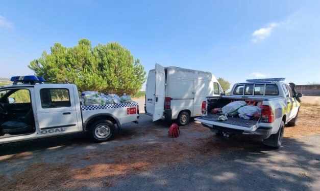 La Policía de Cartaya se incauta de 550 kilos de piñas recogidas ilegalmente