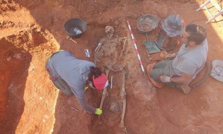 Los trabajos memorialistas consiguen exhumar más de 250 cadáveres de la represión franquista en Huelva