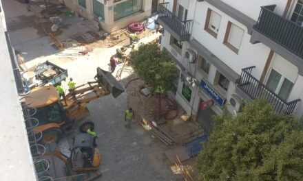 Hallan restos de una civilización antigua en las obras tras el Ayuntamiento de Huelva