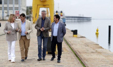 Siete empresas optan a “cambiar la imagen de Huelva en el mundo”