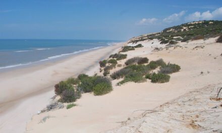Las pisadas de homínidos en Doñana son 200.000 años más antiguas de lo que se pensaba