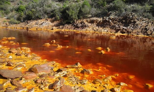 El éxito de la ruta natural del río Tinto se expone en unas jornadas