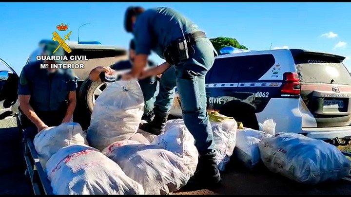 La Guardia Civil investiga a 38 personas por extraer piñas de Doñana