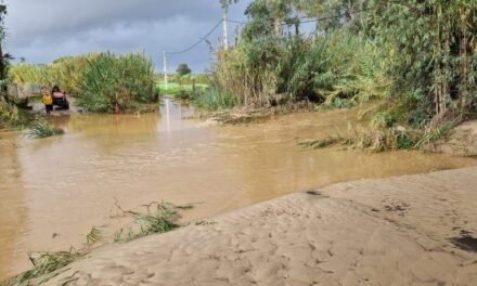 El PSOE pide a la Junta que limpie los cauces de Nerva tras las lluvias