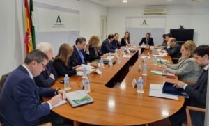 Paradela comisión minería