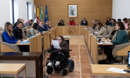 El pleno ratifica una Declaración Institucional con motivo del Día de las Personas con Discapacidad