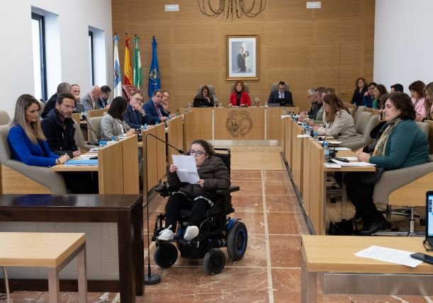 El pleno ratifica una Declaración Institucional con motivo del Día de las Personas con Discapacidad