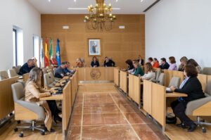 Pleno Diputación