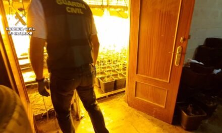 Diez detenidos por la producción de marihuana en una operación en el entorno de Huelva