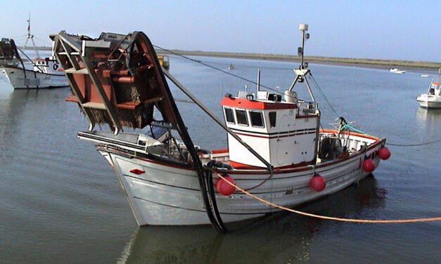 <strong>Sorprendidos cuatro barcos en la reserva de pesca de la desembocadura del Guadalquivir</strong>