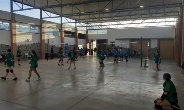 <strong>Insultos y tensión tras un partido de voleibol femenino en Campofrío</strong>