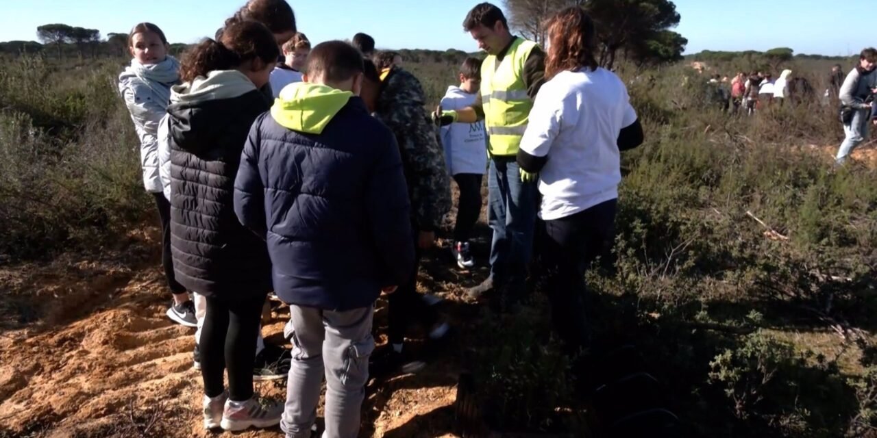 <strong>Escolares de Moguer reforestan la zona calcinada en el incendio de Las Peñuelas</strong>