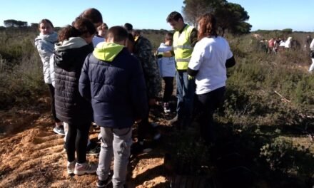 <strong>Escolares de Moguer reforestan la zona calcinada en el incendio de Las Peñuelas</strong>