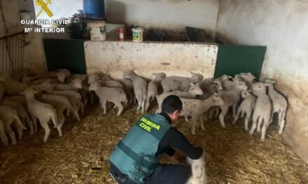 Dos detenidos por robar corderos en Manzanilla