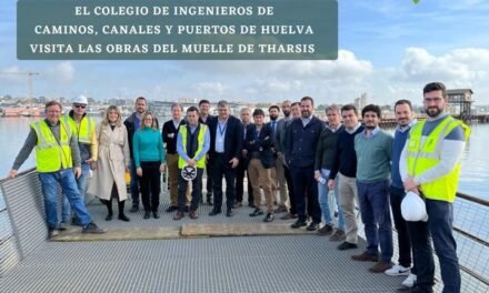 <strong>El Colegio de Ingenieros visita las obras de Insersa en el Muelle de Tharsis</strong>