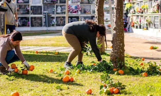 <strong>Los alumnos de jardinería del IES La Marisma hacen las prácticas en los parques de la ciudad</strong>