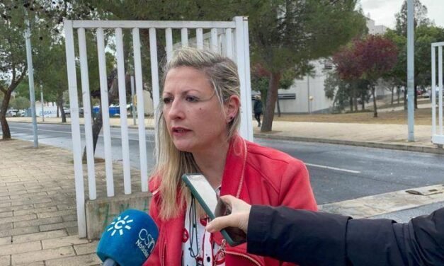 <Strong>El PSOE denuncia la falta de diálogo de la Junta respecto al vertedero de Nerva</strong>