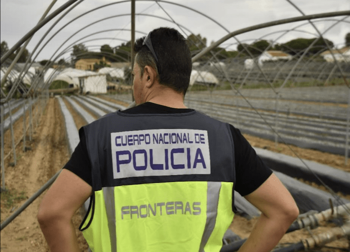 <strong>Tres detenidos por estafar a 41 inmigrantes con contratos falsos en Lepe</strong>