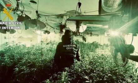 <strong>Dos detenidos con una plantación de marihuana en Villalba del Alcor</strong>