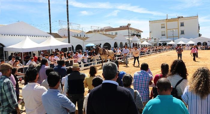 cartaya caballo