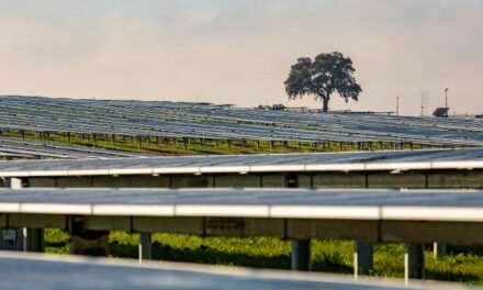 <strong>Luz verde para la construcción de ocho plantas fotovoltaicas en Huelva</strong>
