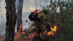 Incendio La Laguna de El Portil