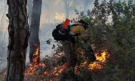 <strong>Más de 40 efectivos luchan contra un incendio en la Laguna de El Portil</strong>