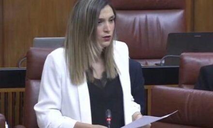 <strong>El PSOE lleva al Parlamento las carencias del hospital de Riotinto</strong>