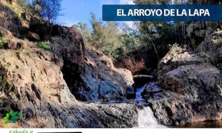 <strong>El Campillo organiza una ruta de senderismo por el Arroyo de la Lapa</strong>