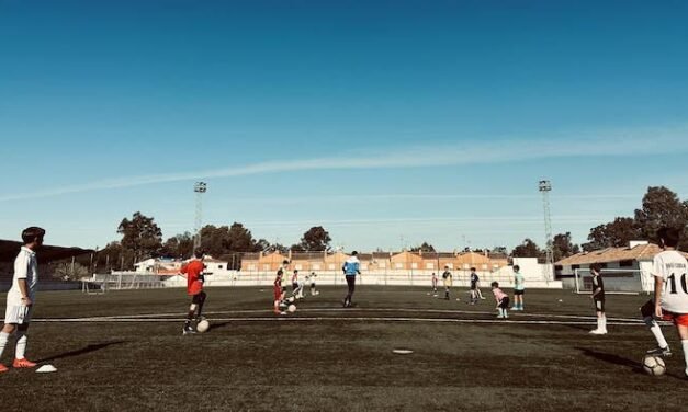 <strong>Una veintena de niños participa en el campus de fútbol José Carlos Fernández</strong>