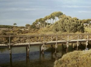 Pintura
