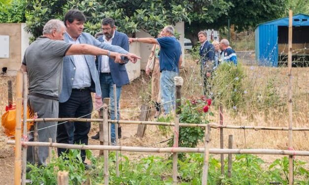 <strong>Gabriel Cruz se compromete a crear huertos urbanos en los barrios</strong>